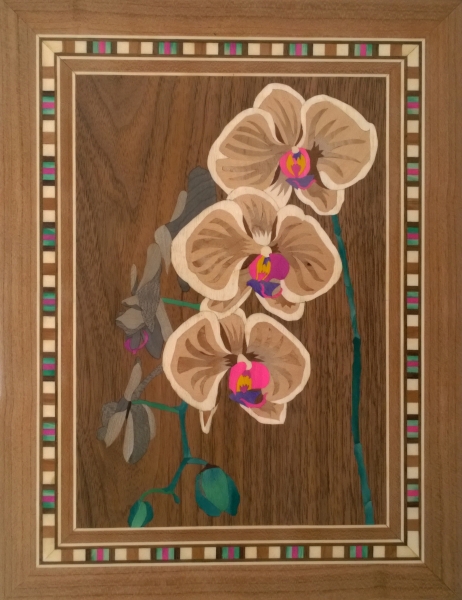Orchid 25 x 35 cm