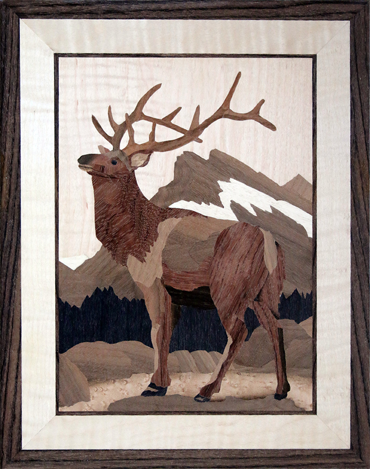 AM017-Elk-on-Rundle-11-x-14