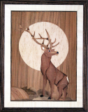 AM016-Deer-in-Moon-11-x-14-ver-2