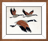 AM018-Flying-Canada-Geese-14-x-12